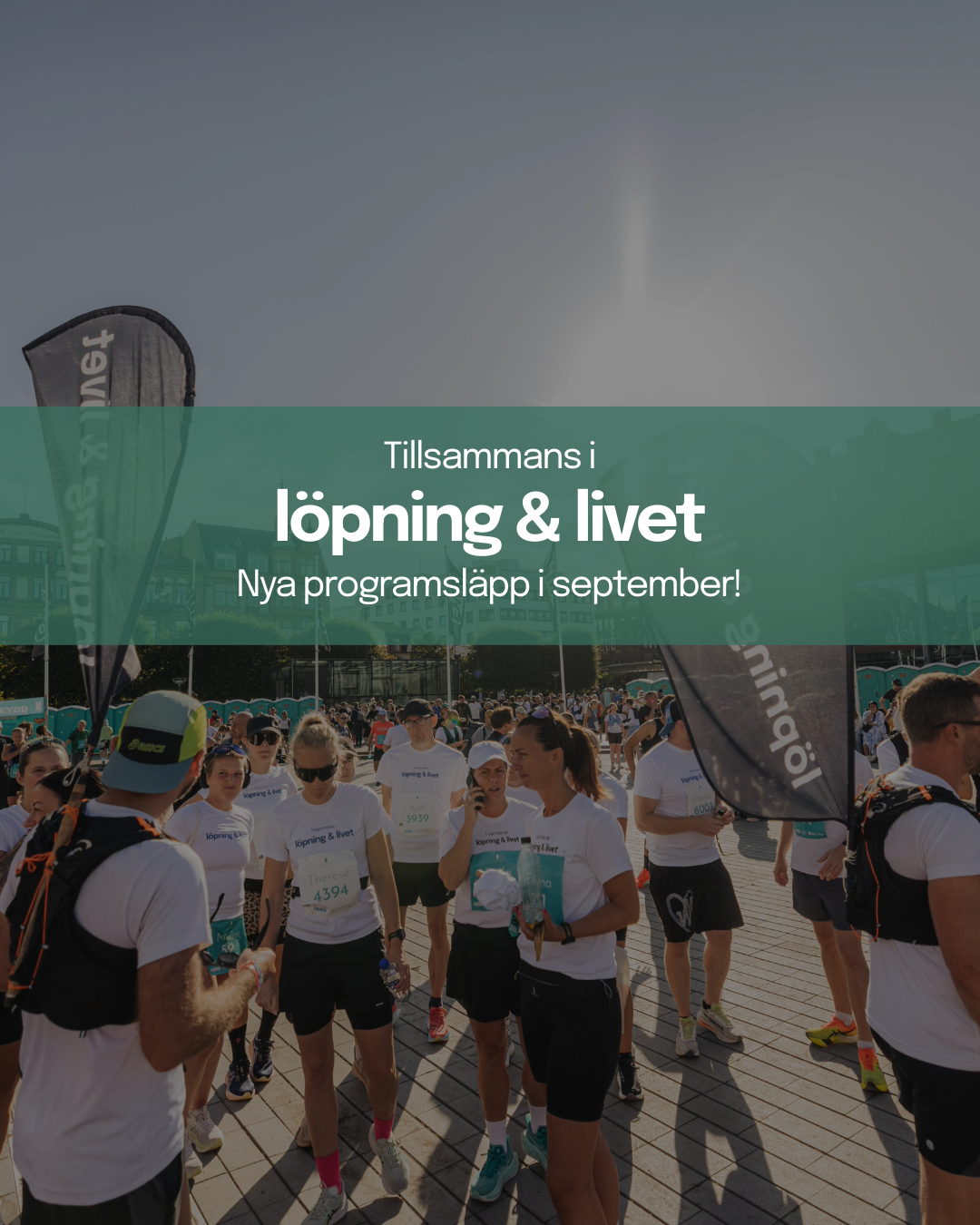 Vårt största programsläpp någonsin - 10 nya program i september!